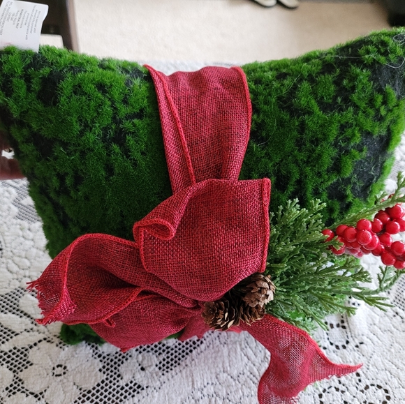 Beautiful Christmas pillow! - Picture 5 of 5